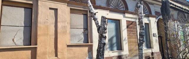 FOTO: Stradaju stabla u Ulici Ive Lole Ribara – seča bez ikakvog valjanog obrazloženja