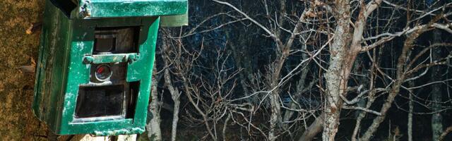 Postavili kamere da snime životinjski svet, pa zabeležili nešto neverovatno: "Divno je videti ga"