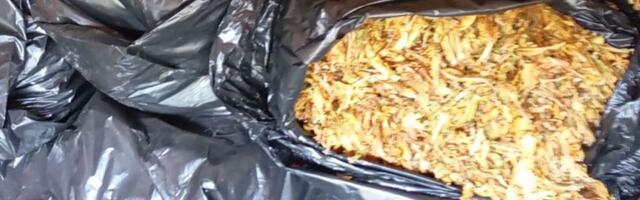 Policija u Hrtkovcima oduzela 1.360 kilograma duvana, uhapšena jedna osoba