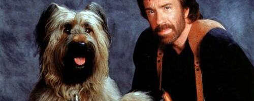 Čak Noris ne slavi rođendan, rođendan slavi njega: Legendarni glumac puni 86 godina, a ovako danas izgleda