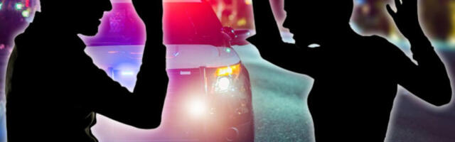 SARA PRED ĆERKOM KAIŠEM PRETUKLA PARTNERA! Kada je došla policija, rekla je da je učinio nešto što NIJEDAN MUŠKARAC ne radi