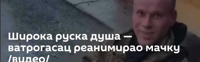 Широка руска душа — ватрогасац реанимирао мачку /видео/