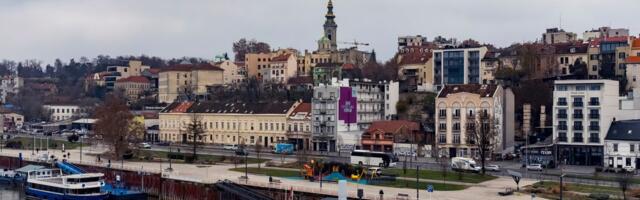 Šok scena u centru Beograda: Zver slobodno luta prestonicom, kruži neverovatna fotografija
