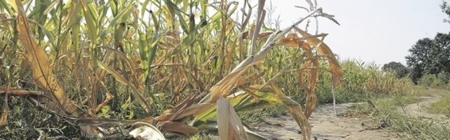 Novembar 2020. godine je bio najtopliji ikada