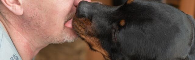 Zbog čega ljubljenje pasa u usta nikada ne predstavlja dobru ideju