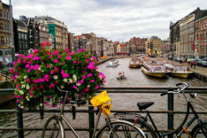 У Амстердаму цвеће има предност –  без бицикала поглед је лепши....