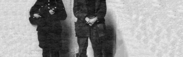 Nova saznanja o Dražinom grobu? (2)