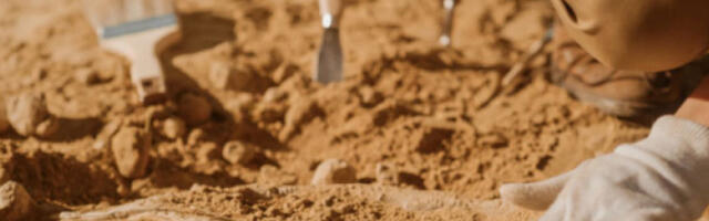 Тим палеонтолога у Сахари открио фосил диносауруса који једе рибу