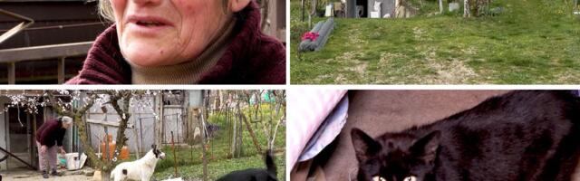 Baka iz Grocke spasila stotine životinja, a onda je izbio požar: Čula je vrisku, pa shvatila da GORI SA NJIMA