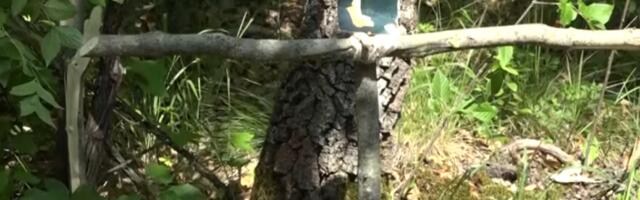Годишњица страдања браће Симић на својој земљи, коју нису желели да напусте