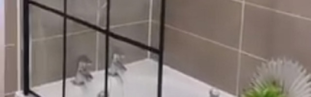 Renovirajte vaše kupatilo, da izgleda potpuno moderno za svega 100 dinara, a vidite i kako!