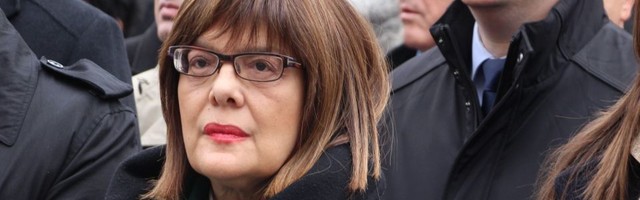 Maja Gojković predsednica Odbora za obnovu i razvoj Sremskih Karlovaca