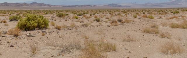 Nevada: Klimatsko svedočanstvo iz pećine staro 580.000 godina je slika današnje krize