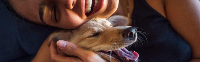 Šta kaže nauka – zašto volimo pse