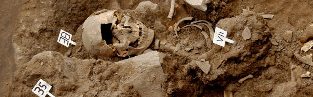 Mesto zločina iz gvozdenog doba otkriveno u Srbiji: Naučnici pronašli ostatke 77 brutalno ubijenih žena i dece