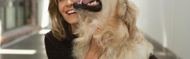 Na snagu stupila nova pravila za putovanja kućnih ljubimaca u EU: Ovo morate da znate, čipovanje važi samo ako...