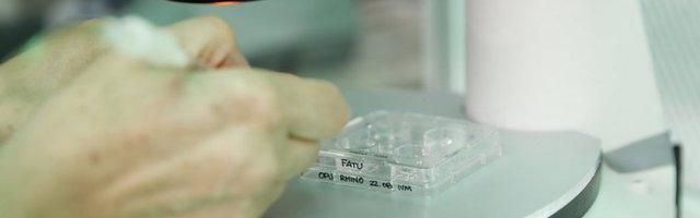 A, TAMAN JE KRENULO NABOLJE! Dramatični rezultati nove studije u Kini: Korona mutirao u 30 različitih varijacija!