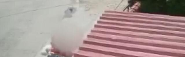 Kako je žena bez stida ušla u dvorište i ukrala psa (VIDEO)