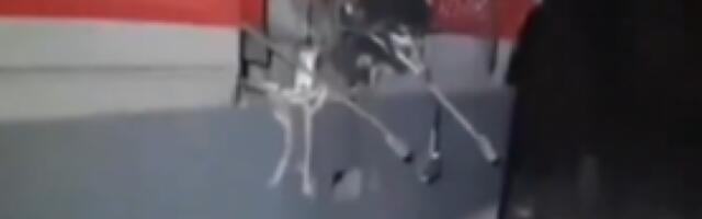 UKRAJINCI RAZNELI PRUGU U RUSIJI! VOZ ISKOČIO IZ ŠINA! Sabotaža Kijeva dobro izvedena, saobraćaj u prekidu! (FOTO/VIDEO)