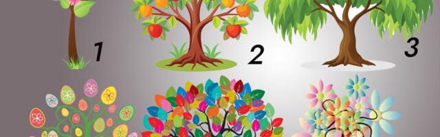 TEST LIČNOSTI: Odabir drveta otkriva vašu ličnu snagu i karakter - ovo je vaša skrivena MOĆ