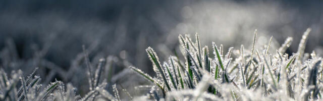 Сутра ујутру слаб мраз, понегде магла и ниска облачност, током дана претежно облачно