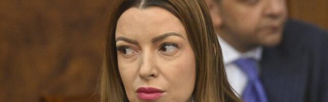 Mesarović: U Srbiji trenutno bez struje 377 korisnika, a ne 14.000 kao što poslanica SSP obmanjuje javnost