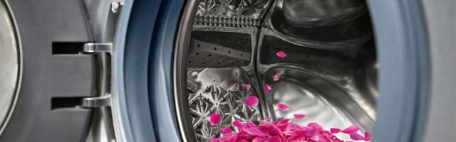 Ubacite latice ruža u veš mašinu i gledajte šta će se desiti: Trik koji je zaludeo Srbiju