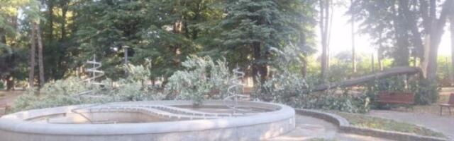 Ogromno drvo palo na pešačku stazu u Gradskom parku