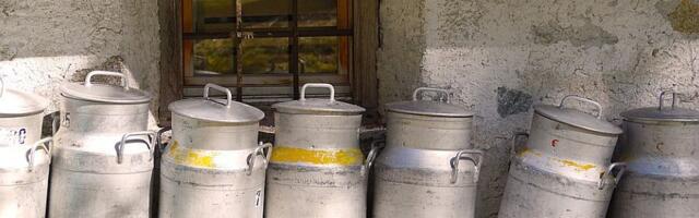 Proizvođači mleka iz okoline Čačka i Kraljeva najavili za sredu blokadu Ibarske magistrale