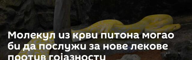 Молекул из крви питона могао би да послужи за нове лекове против гојазности