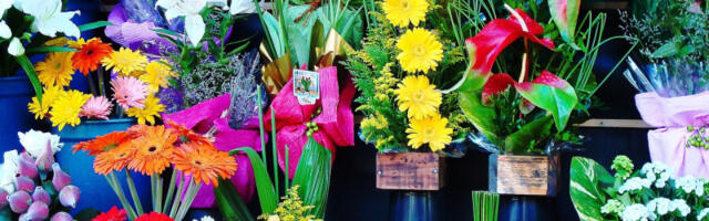 Jednu vrstu cveća ne unosite u kuću na Vaskrs, evo zašto