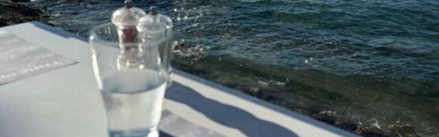 Lele! Raj na zemlji za 15 € po osobi: Litar vina 8 €, glavna jela 10, najbolji restoran na svetu sa šok cenama