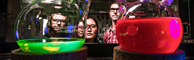 Najpametniji ljudi žive u ovim zemljama