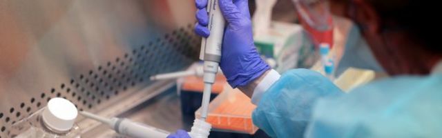 Serbia considering introducing negative PCR test requirement for foreigners entering the country