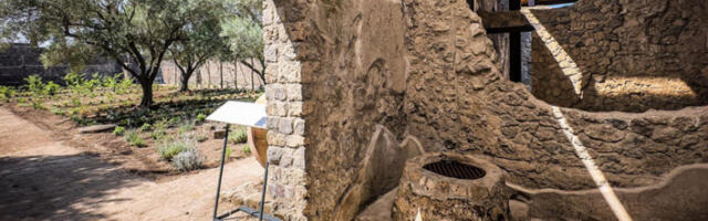 Археолози доказали да је античка Помпеја увозила луксузну робу са Истока