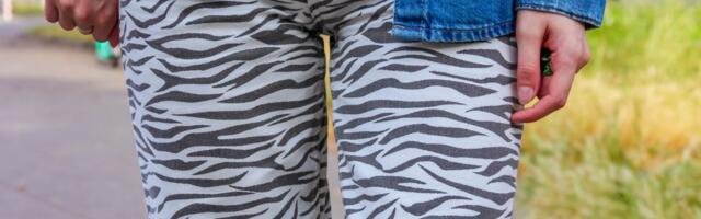 Leopard je pao s trona: Zebra print je novi modni hit koji svi jure