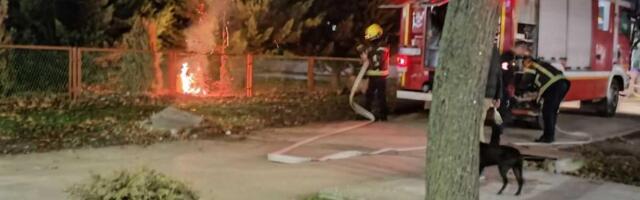 Požar kod vrtića "Bambi", zapalile se jelke