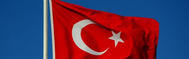 U Turskoj uhapšen član ISIS-a: Planirao napade za Novu godinu