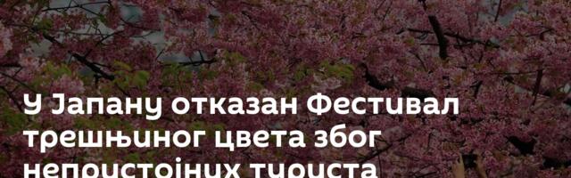 У Јапану отказан Фестивал трешњиног цвета због непристојних туриста