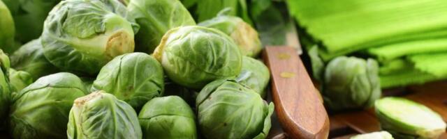 Ovo povrće u Srbiji plane čim se ubere: Kilogram ide i do 220 dinara, a jedno stablo daje skoro kilogram roda!