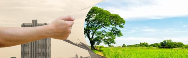 Srbija beleži rast zaštićenih područja: Novi izveštaj otkriva ključne podatke o biodiverzitetu