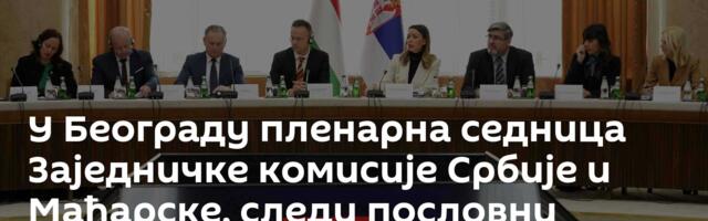 У Београду пленарна седница Заједничке комисије Србије и Мађарске, следи пословни форум