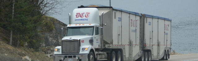 Могу ли дугорочне визе да реше проблем возача у ЕУ