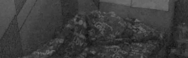 DRMA, DRMA, LULE LJULJA! Anita Stanojlović rastavljena u delove od ZVERSKE VRELE AKCIJE, Vujović je doveo do LUDILA!