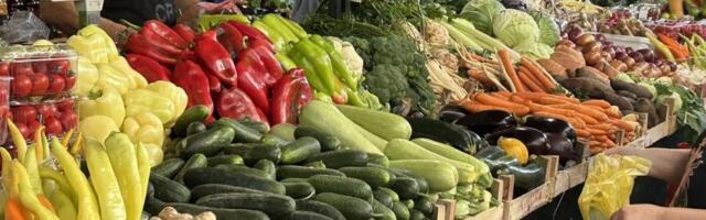 U Vesninoj bašti raste svetsko blago! Kilogram ove biljke i do 20.000 dolara, a tek kada vidite kako izgleda (FOTO)