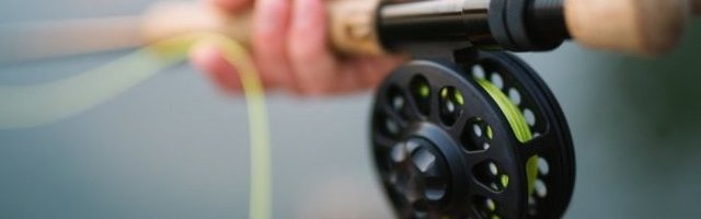 PRESELO IM PECANJE! Umalo se nisu podavili! (Video)