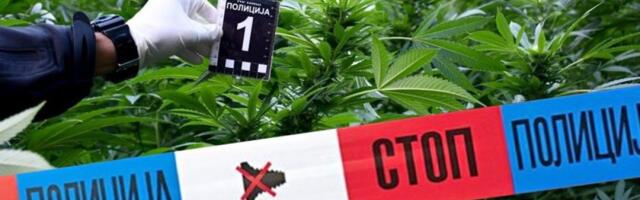 Uhapšena dvojica zbog trgovine drogom: Akcija policije u Novom Sadu
