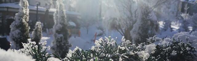 Zima počinje u nedelju