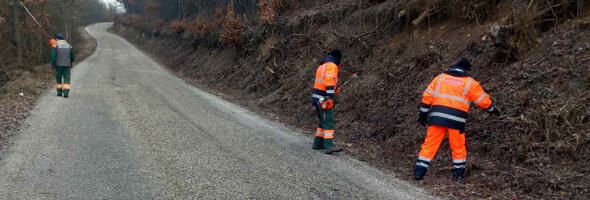 Uklanjanje rastinja i korova duž puteva u okolini Kragujevca (FOTO)
