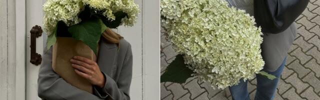 Uskoro počinje sezona prolećnih alergija – evo kako da ih sprečite na vreme